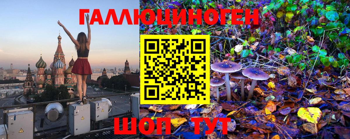 Псилоцибиновые грибы Psilocybine cubensis  Вход с VPN  Псилоцибиновые грибы Cubensis  Саров 