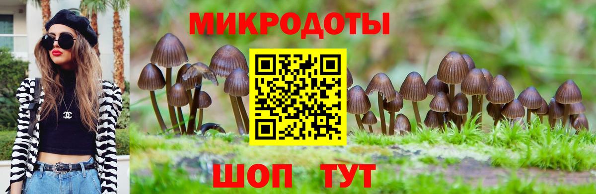 Галлюциногенные грибы Psilocybine cubensis Саров